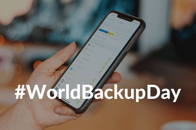 World Backup Day Grafik